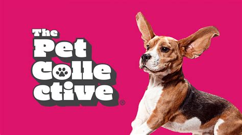 The Pet Collective Videos | Comedy | Pluto TV