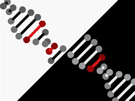 Gene Editing Is Trickier Than Expected—but Fixes Are in Sight | WIRED