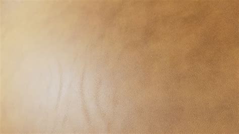 Full Grain Pigskin Leather Texture, Caramel Brown - Poliigon