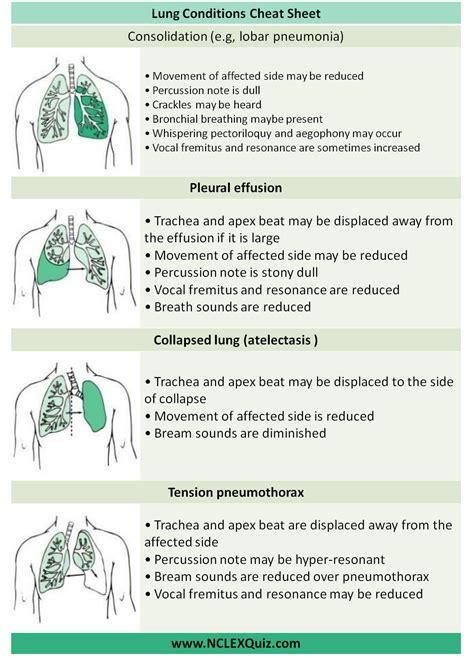 Examination of Respiratory System Cheat Sheet - NCLEX Quiz