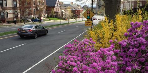 Landscape Design | Springfield, MA | State Street Improvements