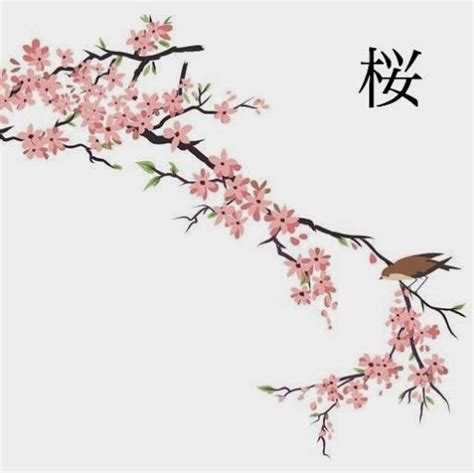 japanese cherry blossom drawings | Japanese Cherry Blossom Drawing 298 | Cherry blossom drawing ...