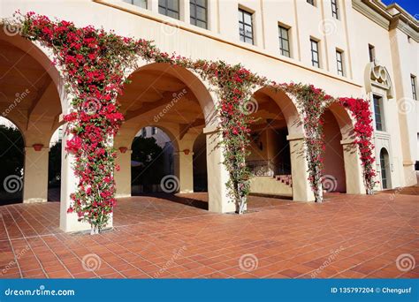 The campus of Caltech stock photo. Image of millikan - 135797204