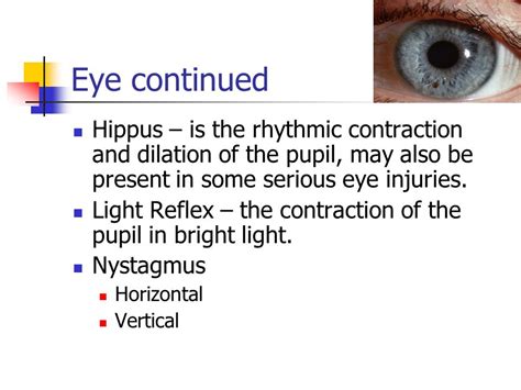 Hippus Pupil Reaction