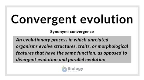 Convergent evolution Definition and Examples - Biology Online Dictionary