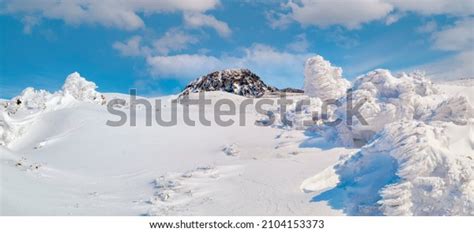 3,250 Jeju Snow Stock Photos, Images & Photography | Shutterstock