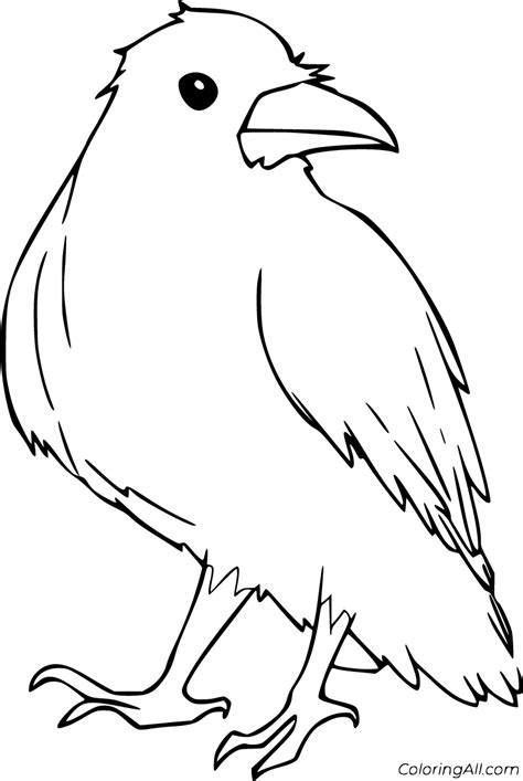 Pin on Bird Coloring Pages