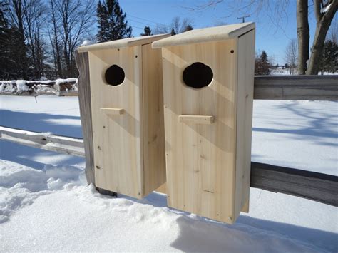 2 pack Wood Duck Nesting Box