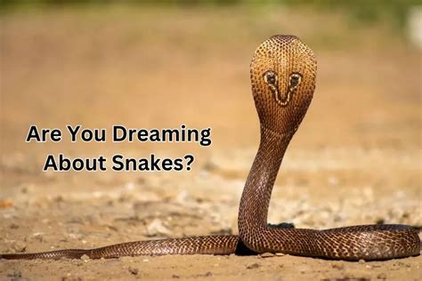 Get to Know the Meaning of Snakes Appearing in Your Dreams