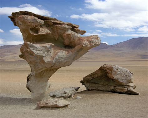 Wind Erosion Making History – Junior Master Gardener