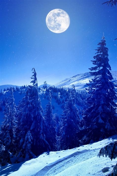 1080x1620 Resolution Full Moon Over Winter Forest 1080x1620 Resolution ...