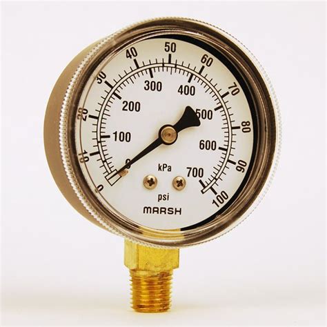 Pete's Plug Pressure Gauge | woundcarewise.com