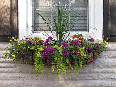 My windowbox, love flowers & greenery!