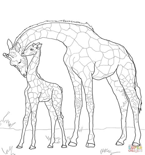 Baby Giraffe Realistic Giraffe Coloring Pages : Kitchen Cabinet ...