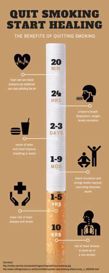 Quit Smoking Timeline Infographic - Resume Samples