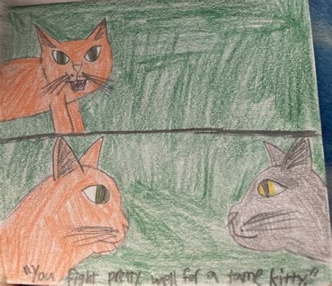 Rusty meets Graypaw | Warrior Cats