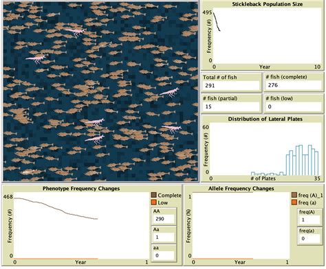 Stickleback Evolution--Eda gene, by lin xiang (model ID 6331) -- NetLogo Modeling Commons