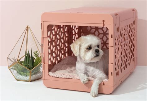 Favorite Things Friday: February 15, 2019 | Dog beds for small dogs, Stylish dogs, Portable dog ...