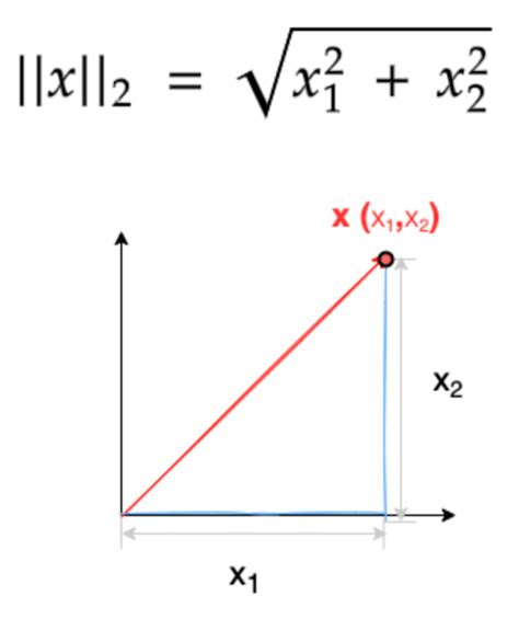 Vector Norms: A Quick Guide - Built In | Hiswai