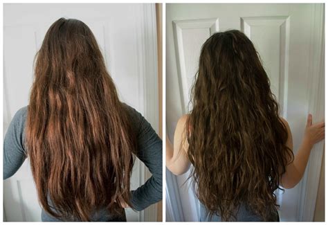 Results After One Week Of Curly Girl Method - Frank Loves Beans