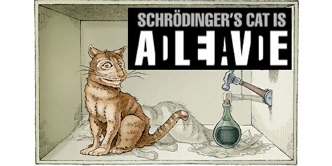 Schrodinger Cat Art