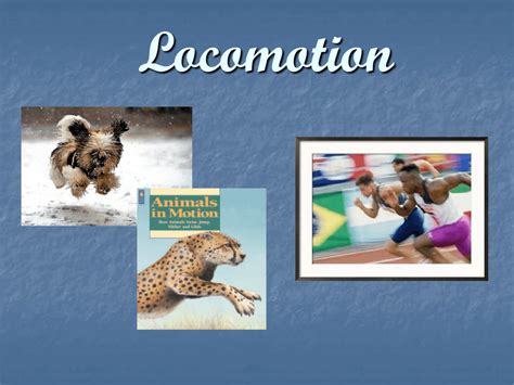 Human Locomotion powerpoint