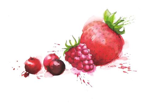 Georgina Luck Illustration | Food illustrations, Watercolor fruit, Georgina luck