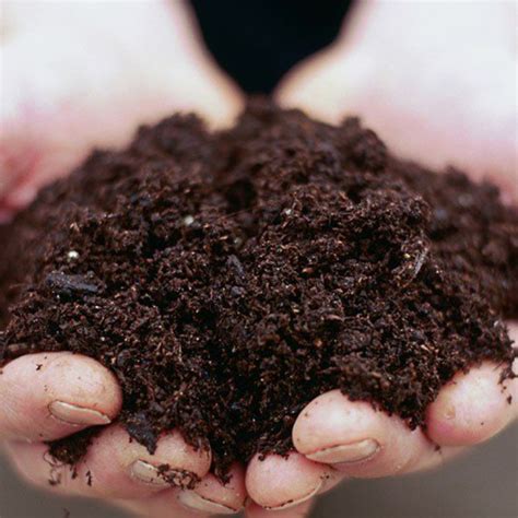 Top soil for garden | Freestuff