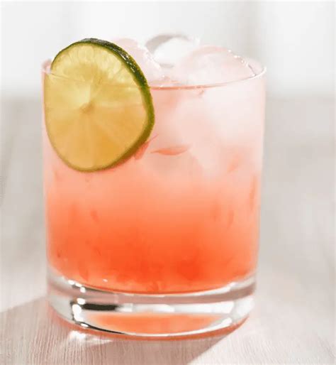 12 Casamigos Cocktail Recipe Ideas - Bar and Drink