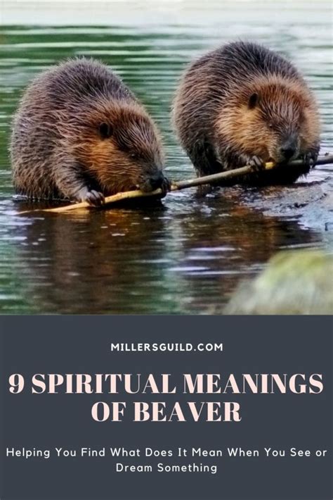 9 Spiritual Meanings of Beaver