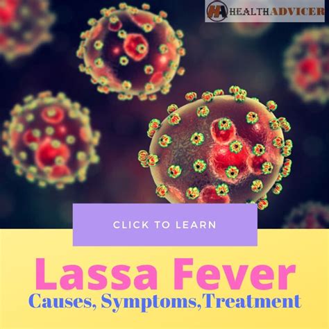 Lassa Fever: Causes, Symptoms, Diagnosis And Treatment