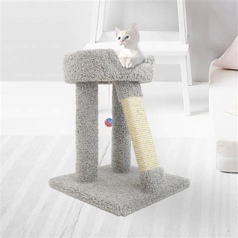 New Cat Condos 24" Premier Elevated Cat Perch & Reviews | Wayfair