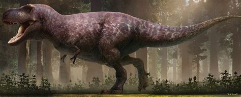 Chubby And Naked: Meet The Most Accurate T. Rex Reconstruction to Date : ScienceAlert