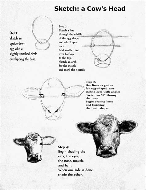 How To Draw A Realistic Cow Step By Step Pails Of Paint: Art Lesson ...