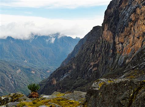 Rwenzori Mountains In Uganda - Uganda Safaris & Tours - Uganda Holiday Tours - Uganda safari Tour