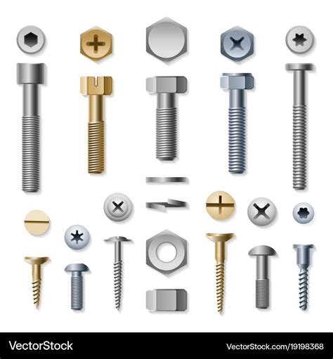 Bolts and screws Royalty Free Vector Image - VectorStock