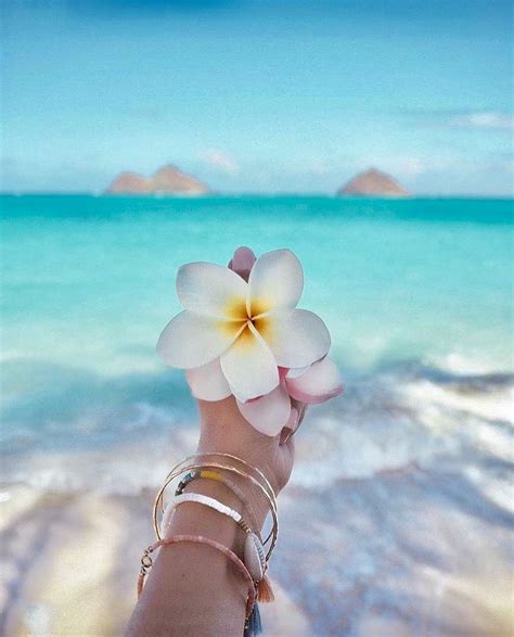 Loading... | Beach wallpaper, Summer wallpaper, Beach photos