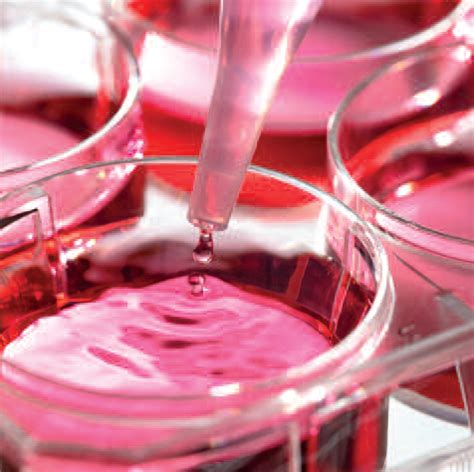 Red Biotechnology Market: Recent Industry Data, Emerging Trends and ...