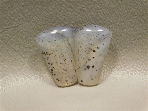 Montana Agate Matched Pair Cabochons #5 - Barlows Gems