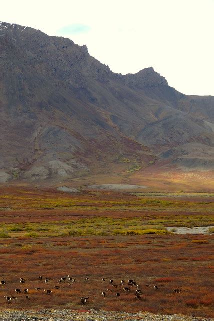 Noatak National Preserve | National Park Foundation