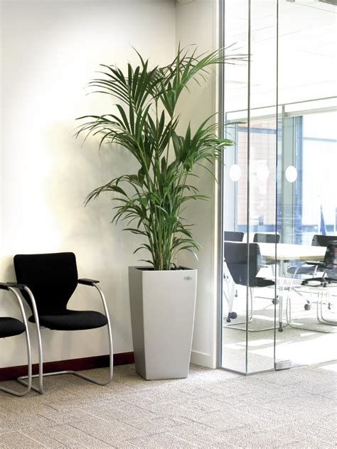 Indoor Plants in Office Enviroment - Exterior Design