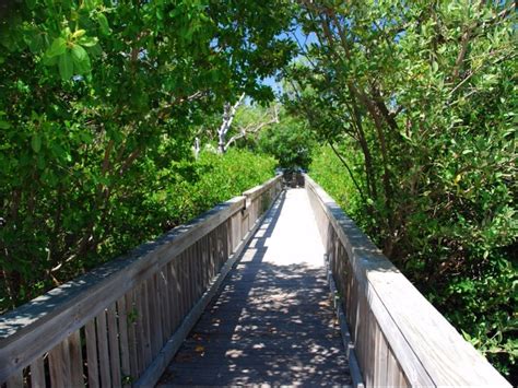 Top 10 Scenic Bike Trails in Florida (2021 Guide) – Trips To Discover