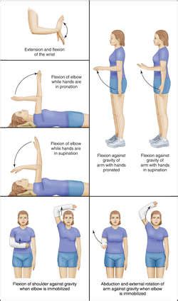 Active And Passive Exercises In Nursing - Exercise Poster