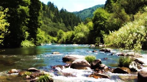 Trout Creek Campground – Eel River | Trout creek, River, Trout