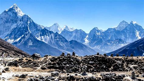 The flora and fauna of the Everest Region - A trekkers guide to wildlife