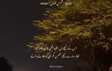 Famous Poetry in Urdu |Urdu Shayari | by Bhattamin | Medium