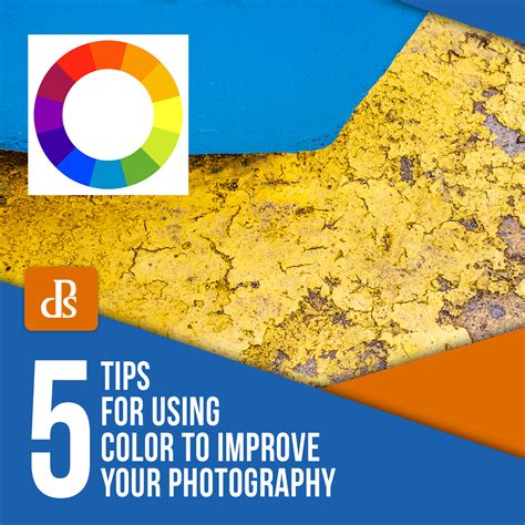 5 Tips for Using Color to Improve Your Photography