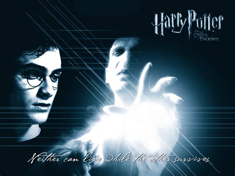 Harry Potter and Lord Voldemort - Harry Potter and Lord Voldemort Wallpaper (7529993) - Fanpop