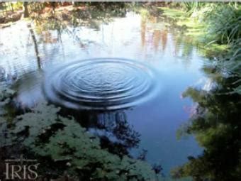 Wave Propagation: Ripples on a Pond- Incorporated Research Institutions ...