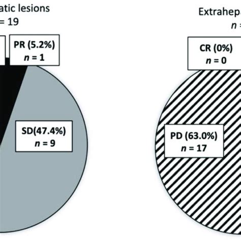 Response to TKI. The efficacies of TKI for intrahepatic (n = 19) and ...